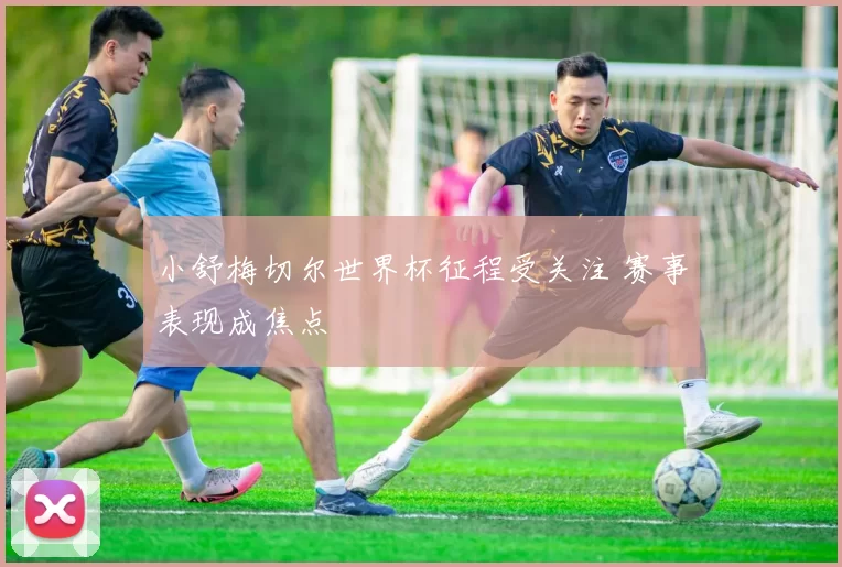 小舒梅切尔世界杯征程受关注 赛事表现成焦点