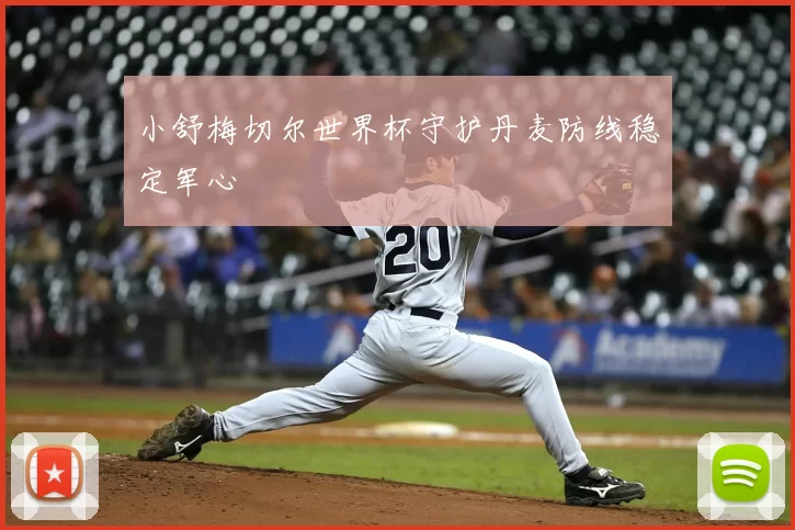 小舒梅切尔世界杯守护丹麦防线稳定军心