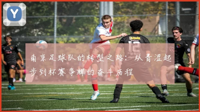 南京足球队的转型之路：从青涩起步到杯赛争辉的奋斗历程
