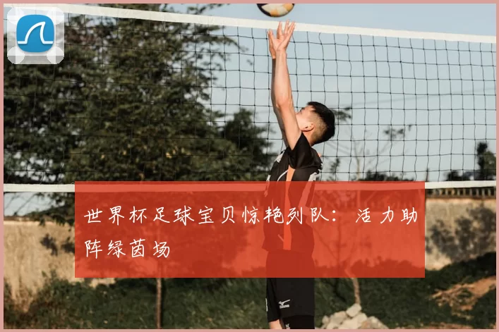世界杯足球宝贝惊艳列队：活力助阵绿茵场