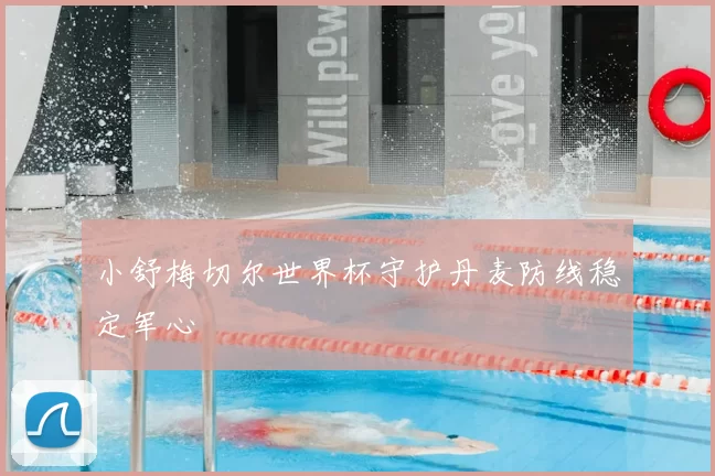 小舒梅切尔世界杯守护丹麦防线稳定军心