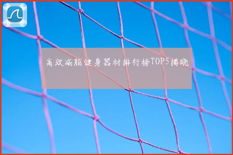 高效减脂健身器材排行榜TOP5揭晓