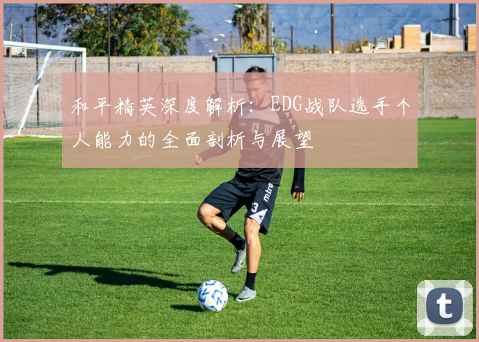 和平精英深度解析:EDG战队选手个人能力的全面剖析与展望