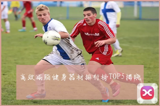 高效减脂健身器材排行榜TOP5揭晓