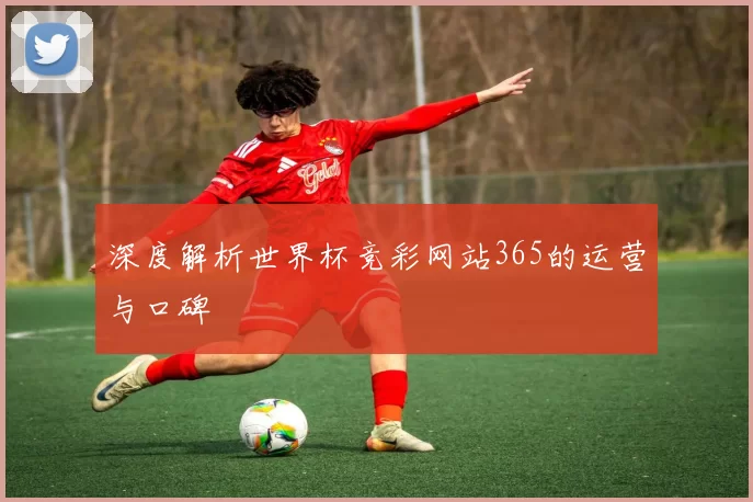 深度解析世界杯竞彩网站365的运营与口碑