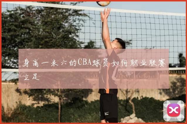 身高一米六的CBA球员如何职业联赛立足
