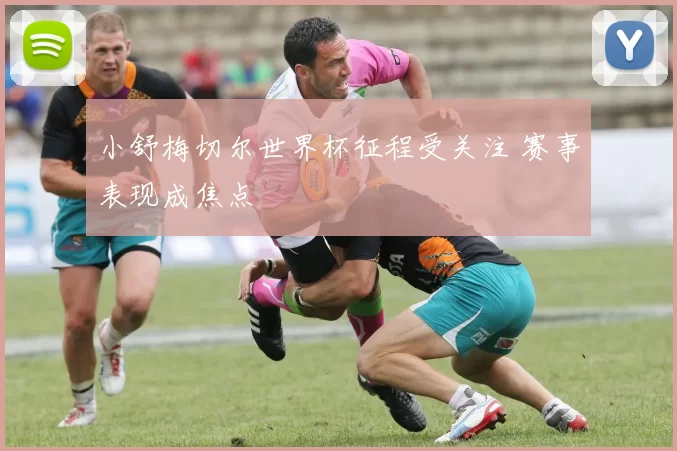 小舒梅切尔世界杯征程受关注 赛事表现成焦点