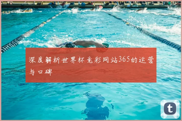 深度解析世界杯竞彩网站365的运营与口碑